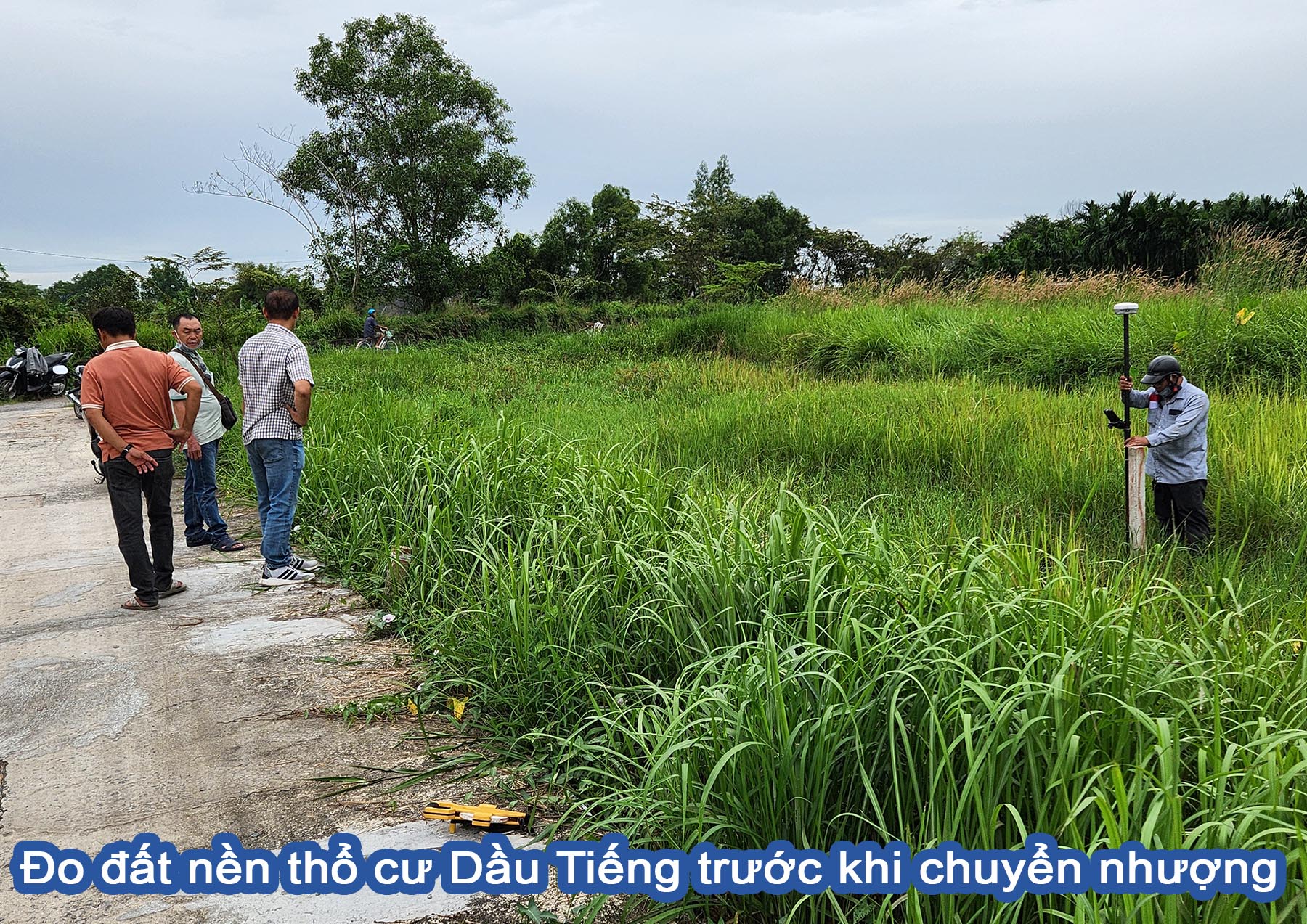 Đo đất nền thổ cư Dầu Tiếng trước khi chuyển nhượng.jpg (725 KB)