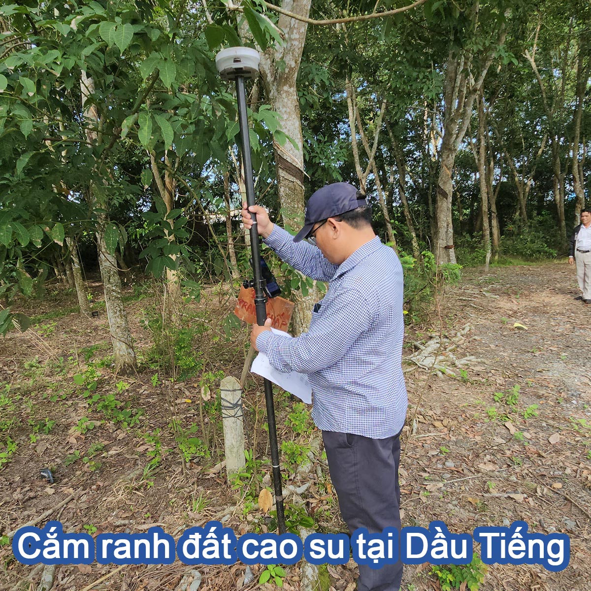 Cắm ranh đất cao su tại Dầu Tiếng.jpg (574 KB)